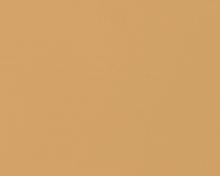 BEIGE_RAL_1001