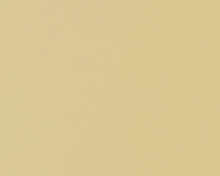 OYSTER_WHITE_1013