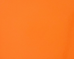 PURE_ORANGE_2004