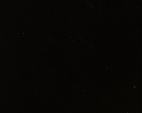 HIGH_GLOSS_BLACK_TK410D9SD